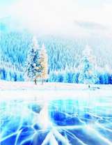 Лёд на лесном озере