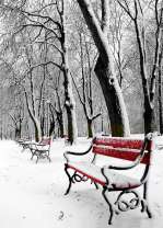 Снежные сугробы в городском парке