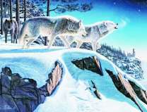 Стая волков в ночном зимнем лесу