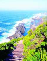 Ступеньки к морю