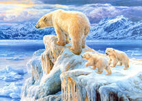 Медведица с белыми медвежатами на льдине