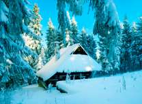 Много снега у домика в лесу