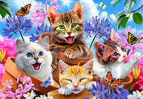 Четыре котёнка, цветочки и бабочки