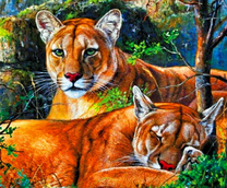 Две львицы в укромном месте