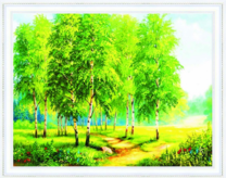 Дорожка через рощицу берёзок