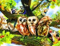 Дуб - большой дом для лесных обитателей