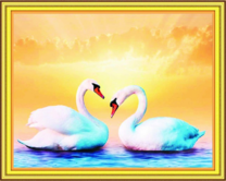 Красивые лебеди на фоне солнца