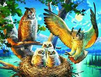 Филины оберегают птенцов в гнезде