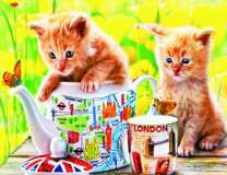 Котятки, бабочка и английский чайник