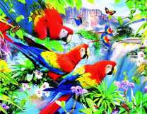 Стая ярких ара у большого водопада