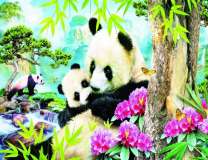 Райский уголок для панд
