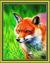 Целеустремленный взгляд лисы