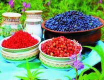 Отличный урожай полезных ягод