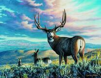 Олени в горах