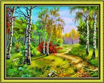 Красота березового леса