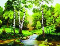 Ручей в тенистом летнем лесу