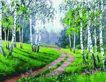 Дорога через березовую рощу в летнем лесу