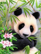 Милая панда среди бамбука