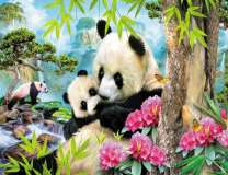 Семья панд под цветущим деревом у реки