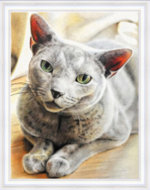 Зеленоглазый кот породы Рэкс