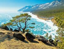 Лес и горы на берегу зимнего моря