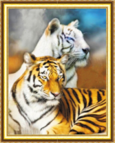 Красивые тигры разных пород