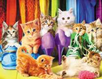 Милые котята играют с обувью