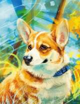 Пушистый корги в траве