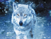 Белый волк в заснеженном лесу