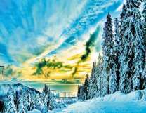 Зимняя дорога через лес к озеру