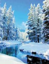 Прекрасный заснеженный лес