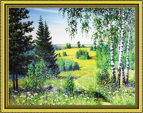 Тропинка через цветущую поляну