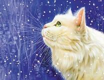 Белая кошечка под небольшим снегом