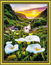 Белые каллы в ущелье среди гор