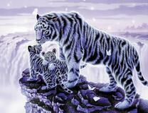 Белая тигрица с тигрятами на скале у водопада