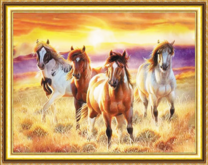 Красивые лошади на закате