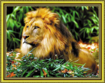 Лев в летней зелени