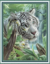 Белый тигр в зарослях летнего леса