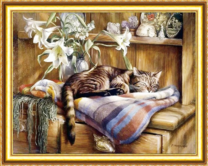 Кот на пледе под лилиями