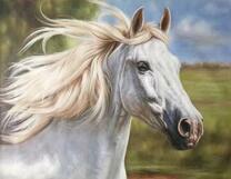 Красивая белая лошадка с длинной гривой