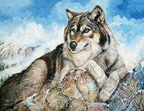 Волк на горе