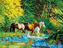 Дикие лошади вышли из леса к ручью
