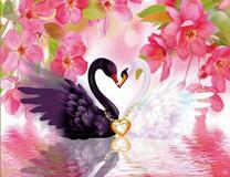 Черный и белый лебедь под цветами
