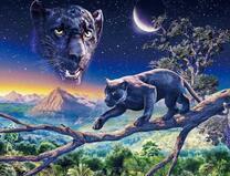 Чёрная пантерна на фоне горной местности