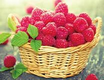 Крупная и спелая малинка