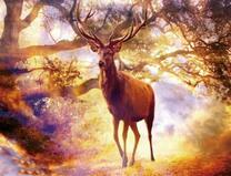 Большой олень в солнечных лучах