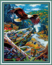 Орёл над осенним лесом в горах