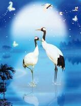 Журавли на озере в ночи