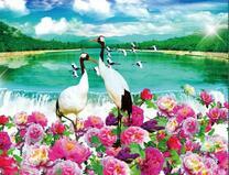 Журавли среди цветов у реки