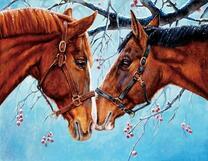 Влюбленные лошади под замёрзшей рябиной